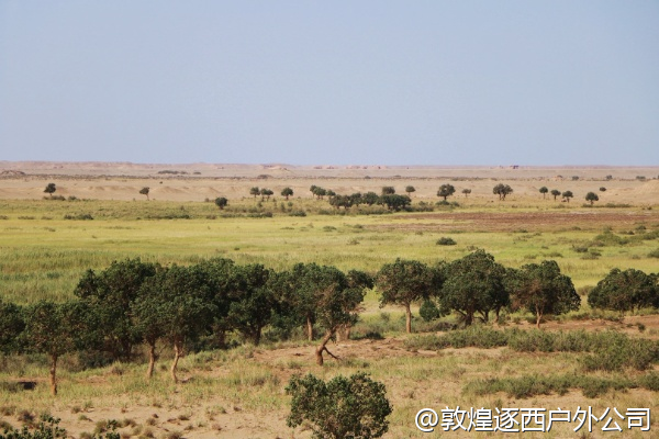 公司团建想拍一些专业的活动照片，有包含摄影的套餐吗？