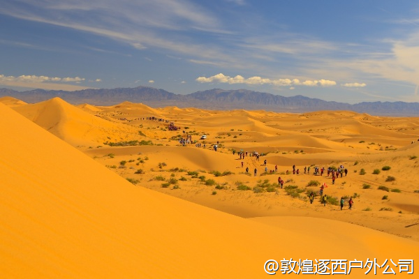 公司想做一个百人规模的戈壁徒步活动，有能承接的公司吗？