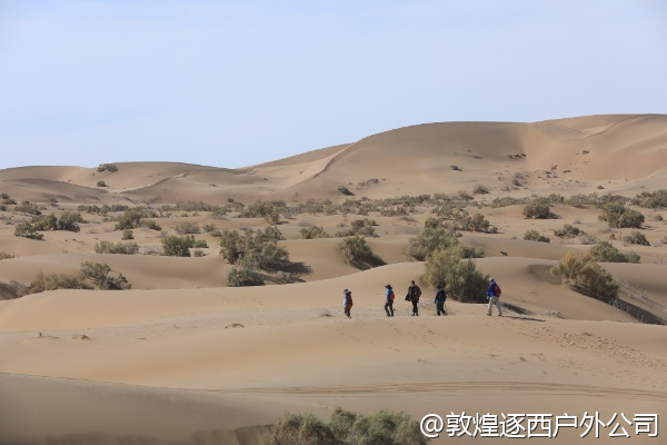 公司团建想安排一场戈壁里的颁奖典礼，有公司能布置吗？